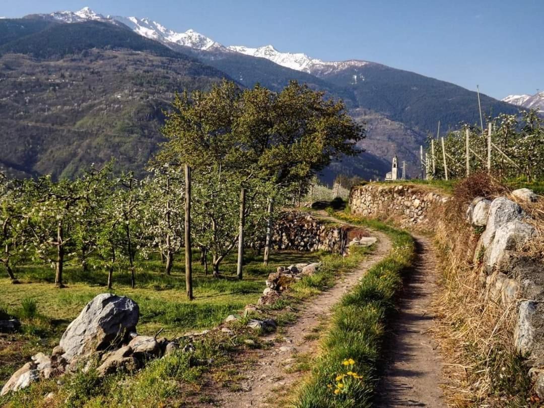 Affittacamere Al Vicolo San Bernardo  Esterno foto